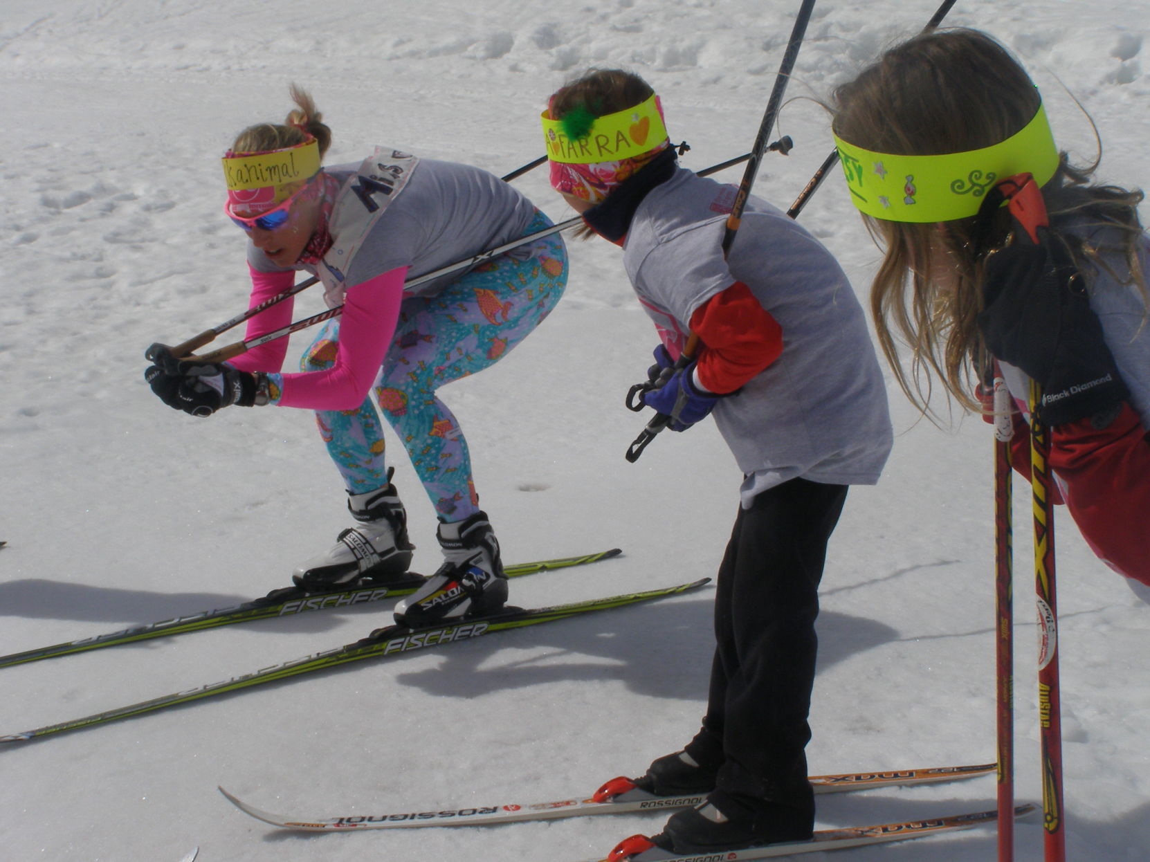 Nordic Skiing